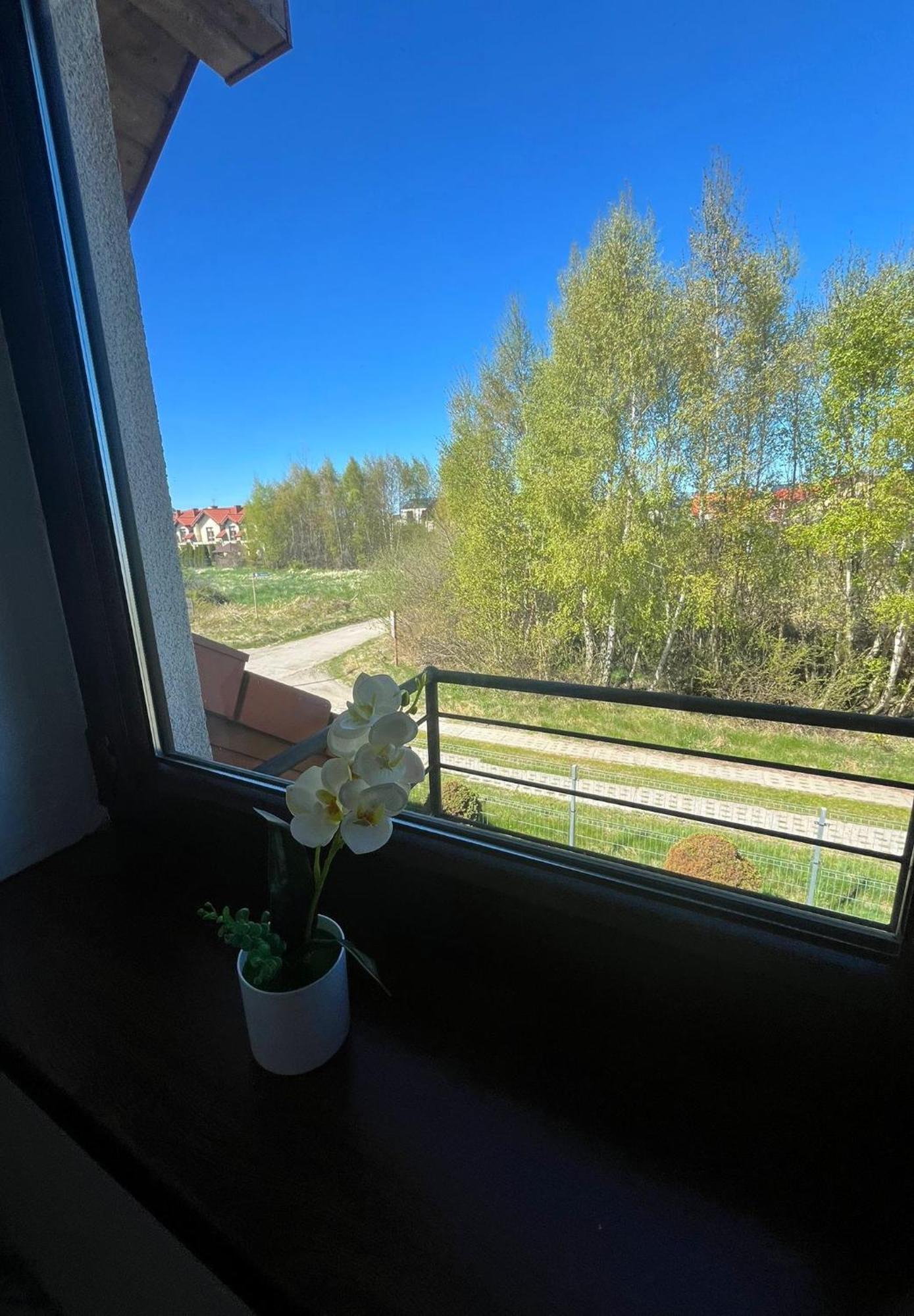 Apartamenty Adrenja Рови Екстериор снимка